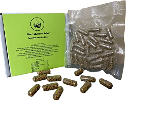 Blue Lake Root Tabs | Aquarium Plant Fertilizer (50 Count)