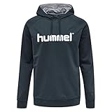 Hummel Hmlgo Kids Cotton Logo Hoodie - india ink