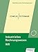 Produktbild Industrielles Rechnungswesen - IKR: Schülerband