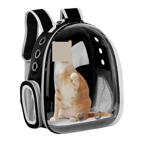 Sac transport pour chat moto : sac à dos respirant transparent pour chiot et petit chien