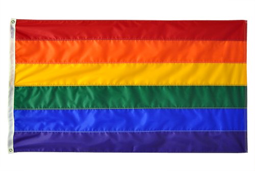 Annin Flagmakers Pride Flag Allwetter-Nylon, 1,2 x 1,8 m (Modell 272415)
