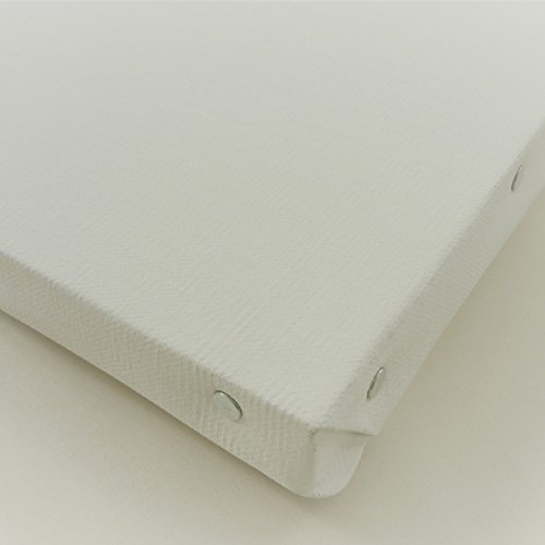 Amazon.co.jp: FUNAOKA フナオカ 亜麻100％ キャンバス F10 (530×455mm