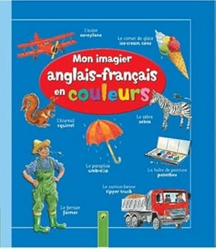 Paperback Mein buntes Wörterbuch Englisch [French] Book
