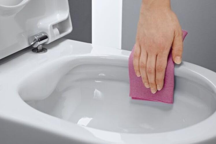 Hand cleaning a toilet seat with a pink cloth
