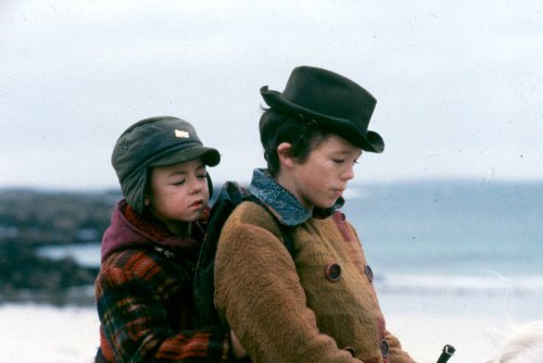 Das weiße Zauberpferd