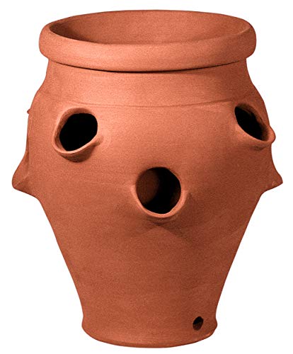 Fresera Maceta tinaja para plantal Cactus de Barro clásica de 27x36cm. Color Terracota