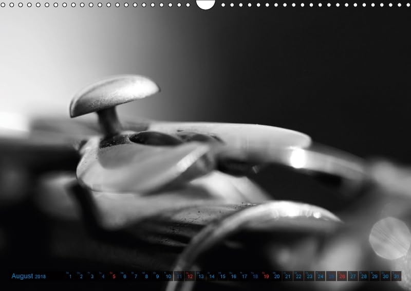 Klarinette - close up (Wandkalender 2018 DIN A3 quer): Detailaufnahmen einer Klarinette (Monatskalender, 14 Seiten ) (CALVENDO Hobbys) [Kalender] [Apr 01, 2017] Drafz, Silvia