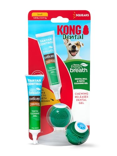TropiClean Fresh Breath - KONG Dental Ball for Small Dogs - Dog Teeth Cleaning Kit - Removes Plaque - Peanut Butter & Honey Dog Toothpaste, 1oz