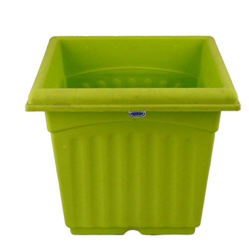 GARDENS NEED Plastic Square Planter with Drip Tray Set ( Lemon Green, 12-inch, Pack of 2 Sets) (B01MRV7DJ8) Amazon Price History, Amazon Price Tracker