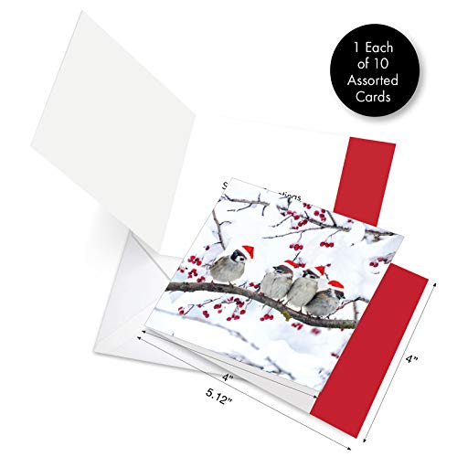 Image of Best Card Co 10 Christmas Boxed Cards Birds MQ5030XSG-B1x10