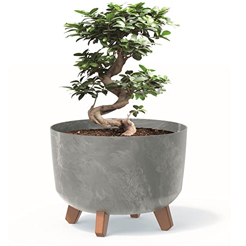 botle Pot de fleurs Jardinière avec pieds - En plastique gris clair - 29 cm - Avec insert - Aspect béton - Pour arbre d'argent - Cactus - Arbre en caoutchouc - Pot Plante Exterieur