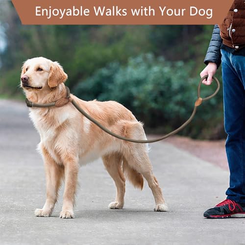 Retrieverleine mit Zugstopp & Hundebürste – 150 cm Hundeleine mit Halsband, einstellbare Anti-Würgen Trainingsleine für kleine & mittlere Hunde, 2-in-1 Leine für Spaziergänge & Pflege