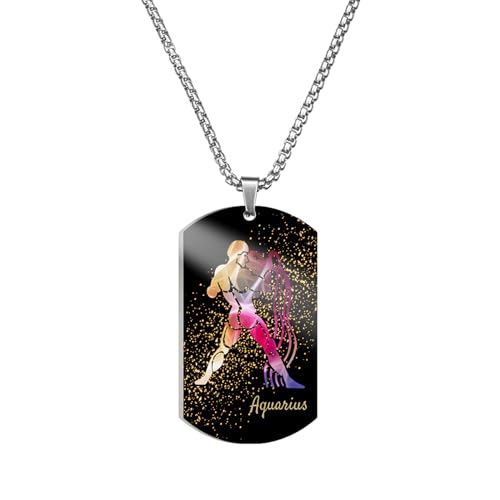Caimeytie Edelstahl mehrfarbige Tierkreiszeichen Halskette für Männer, 12 Sternbilder Anhänger,Geschenk für Freund, Geschäftsgeschenk Geschenk für Männer, Wassermann Halskette
