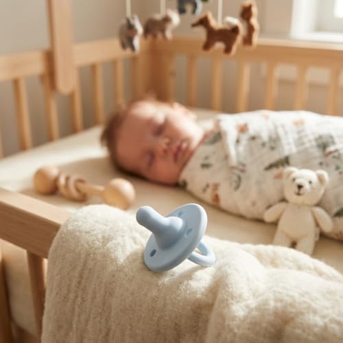 Image of Lee Lee and Me Newborn Pacifier - Sky - 100% Medical Grade Silicone Paci - Breast-Like Nipple for Natural Latch - BPA-Free - Size 0-18 Months