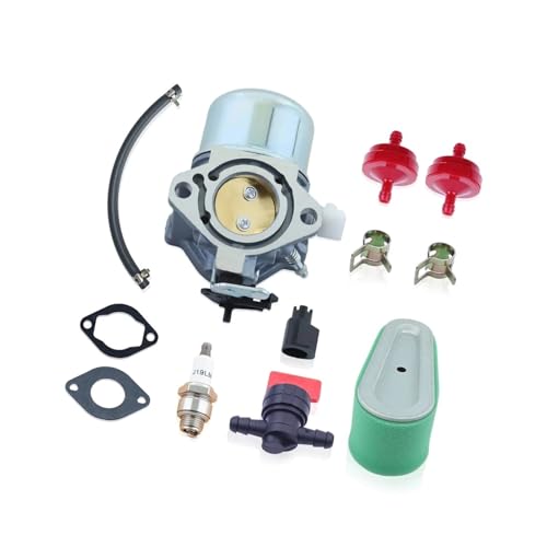 Kit carburateur 692684 pour réguler le moteur 194702 sans raté