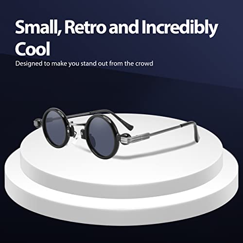 Technigadgets Isaac Steampunk Small Round Sunglasses Retro Vintage Eyewear Men Women Circle Lens Metal Frame UV4002