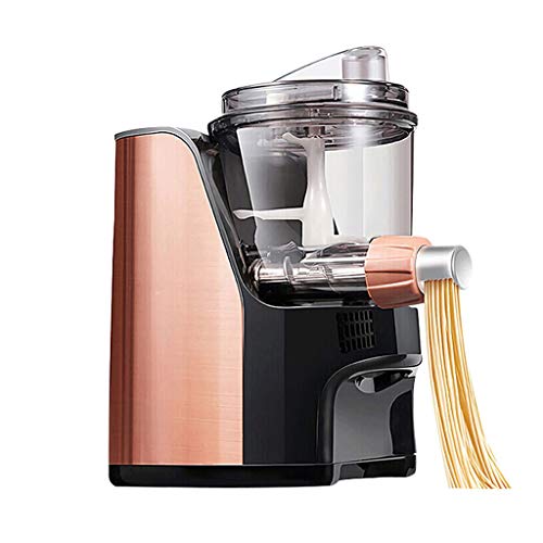 xinxinchaoshi Pastamaker Smart-Nudel-Maschine Haushalt Multi-Funktions-Nudel-Pressmaschine Geeignet for die Frisch…
