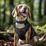 Joytale Reflective Dog Collar,Soft Neoprene Padded Breathable Nylon Pet Collar Adjustable for Large Dogs,Black,L - Image 2