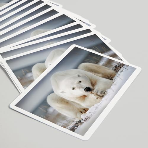 Baraja Póker Polar Bear Laying in Snow 52 Cartas miniatura 5