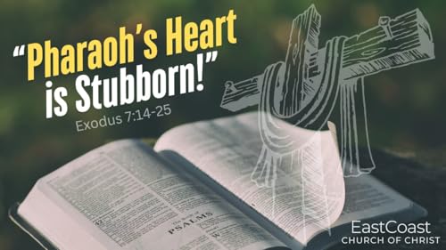 『"Pharaoh's Heart is Stubborn"』のカバーアート