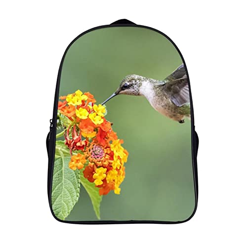 Sac à dos cartable garçons motif colibri 3D cool de 40cm pour classe primaire et loisirs
