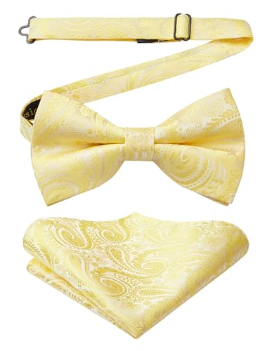 Image of HISDERN Bow Ties for Men Paisley Floral Pre-tied Bowtie Pocket Square Set Men's Formal Bow Ties Wedding Party