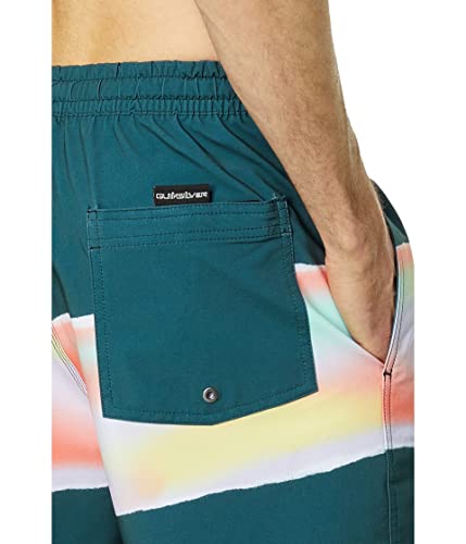 Quiksilver Men's Standard Surfsilk Air-Brush 17 Volley Swim Trunk Boardshort3