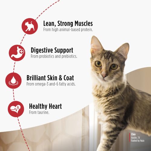Image of Nulo FreeStyle Dry Cat Food Indoor - Duck & Cod, High Protein Grain-Free Dry Cat Food, Natural Kibble with Probiotics and Omegas Fatty Acids, 4lb Bag