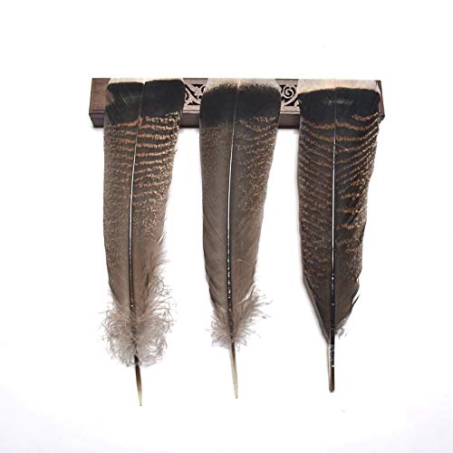 Mathenia Crafts, 10 Pieces of High Natural Eagle Feathers 25-30cm/10-12 Inches Featured Excellent DIY Jewelry Decoration Indian Headdress