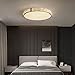 Golden Ultra-Thin Round Ceiling Lamp, Copper Art Acrylic Embedded LED Flush Mount Ceiling Light, 27W Adjustable Three-Color Light Tools Home Improvement, Roof Decoration, Staircase Entrance Lam(40cm)