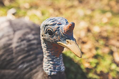 The Grind Hen Decoys, Durable And Lifelike Hen Turkey Decoy, Available In Multiple Postures, Lay Down Hen #TOP3