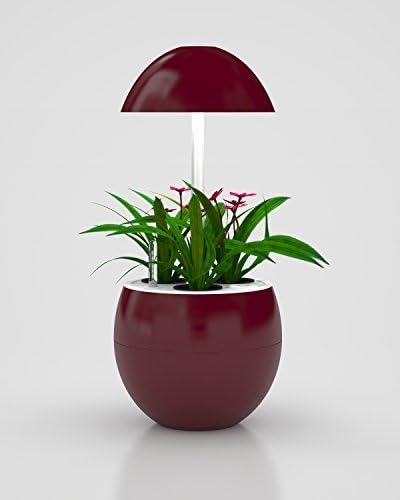 Hydroponic Indoor Garden System, LED Lights, Automatic, Grow Herbs, Grow Vegetables