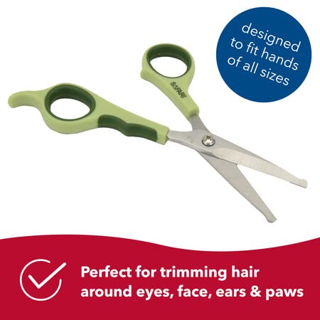 Safari Safety Scissors for Dogs Trimming Hair Around Eyes, Ears & Paws