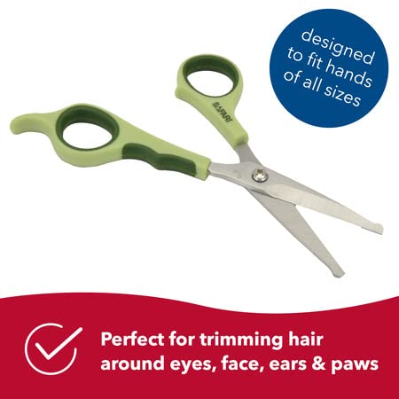 Eye &Ears GroomingScissors  Free* NJ Local Delivery