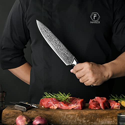 Image of FANTECK 8-inch Professional Damascus Chef Knife with High Carbon 67 Layers VG-10 Damascus Stainless Steel, Ergonomic Blue G10 Handle