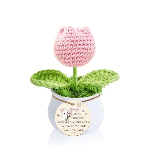 Mejor Amiga Regalo de Graduación para Ganchillo Tulipán Rrosa Maceta Cumpleaños Inspirador Amistad Flor Hecha A Mano Tejida Mujer Navidad Apreciar Entrar Nuevo Trabajo Decoración del Hogar Adornos