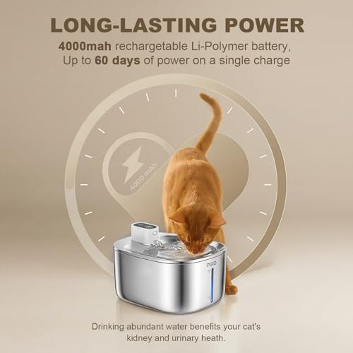 Automatic Pet Feeder