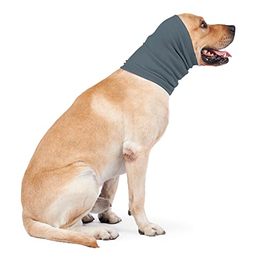Image of Quiet Ears Noise Cancelling Dog Head Wrap for Ear Hematoma, Anxiety Relief and Calming - Yellow+Aqua Blue Medium