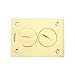 Floor Box Cover, Rectangular, 2-Gang, Brass