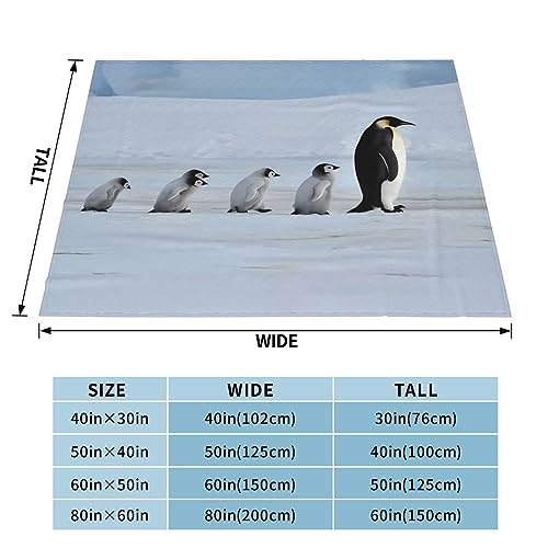 Couverture douce pingouins idee cadeau cocooning toutes saisons