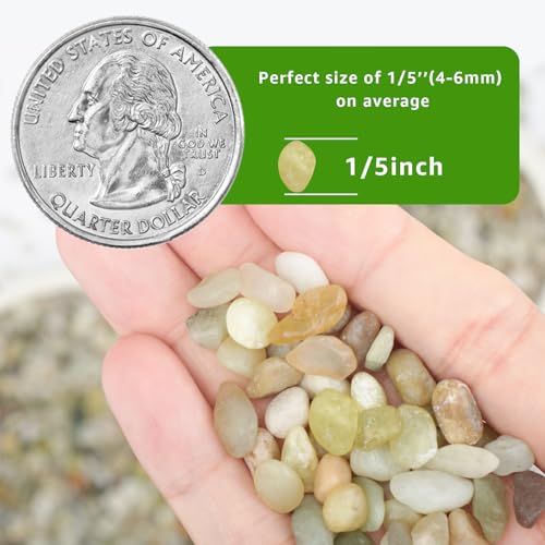 Image of 20lbs Natural Gravel Pebbles for Succulents and Cacti, 1 /5 Inch Decorative River Stones - Perfect for Vases, Aquariums, Terrariums, and Outdoor Gardening, Mixed Colors (Jade, 20 Pounds)