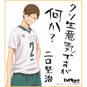 ハイキュー!! ビジュアル色紙コレクション2【二口堅治】単品