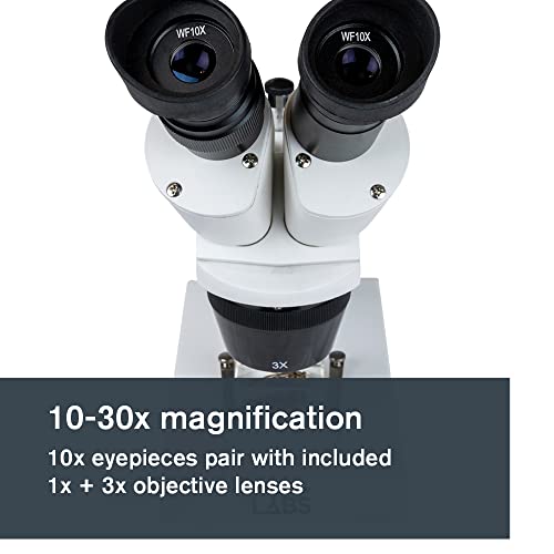 Image of Celestron - Stereo Microscope - Celestron Labs S1030N - Ergonomic Binocular Head - 10x and 30x Magnification