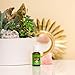 Young Living Calming, Relaxing Essential Oil Blend | 15 ml | Exotic Aroma with Copaiba, Lime, Lavender & Vanilla | Soothing Fragrance for Home, Work, and Personal Use