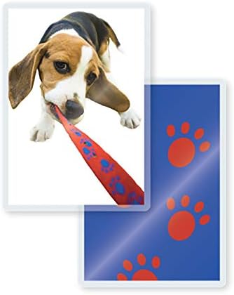TruLam 7 Mil Laminating Pouches with Rounded Corners | Jumbo Size | 2-15/16 in. x 4-1/8 in. | Glossy Finish | Premium Adhesive for High-Clarity | 2 Carriers Included | 500 Pack