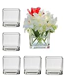 Set of 6 Square Glass Vases 4' x 4' x 4',Clear Flower Vase,Candlestick,Suitable for Wedding Centerpieces、 Home Floral Decoration、Flower Decoration for VariousParty Events