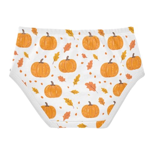 Fall Pumpkin Thanksgiving Autumn Toddler Girls's Underwear 2T 202b71472