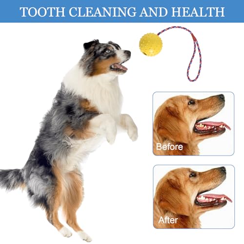 Disnace Durable Balls For Dogs,Dog Rope Ball,Ball With Rope Dog Toy,Natural Elastic Solid Rubber Dogs Balls,Hollow Rubber Ball,Interactive Dog Ball On a String-Yellow & Blue (ø 7 X 30) - Image 4