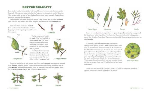 The Tree Book for Kids and Their Grown-Ups - Image 3