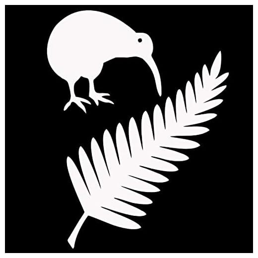 XGGM 11,4 x 15 cm kiwi-fågel och Nya Zeeland ormbunke vinyl bilklistermärken kreativ bilstyling dekal svart/silver (färg: silver)